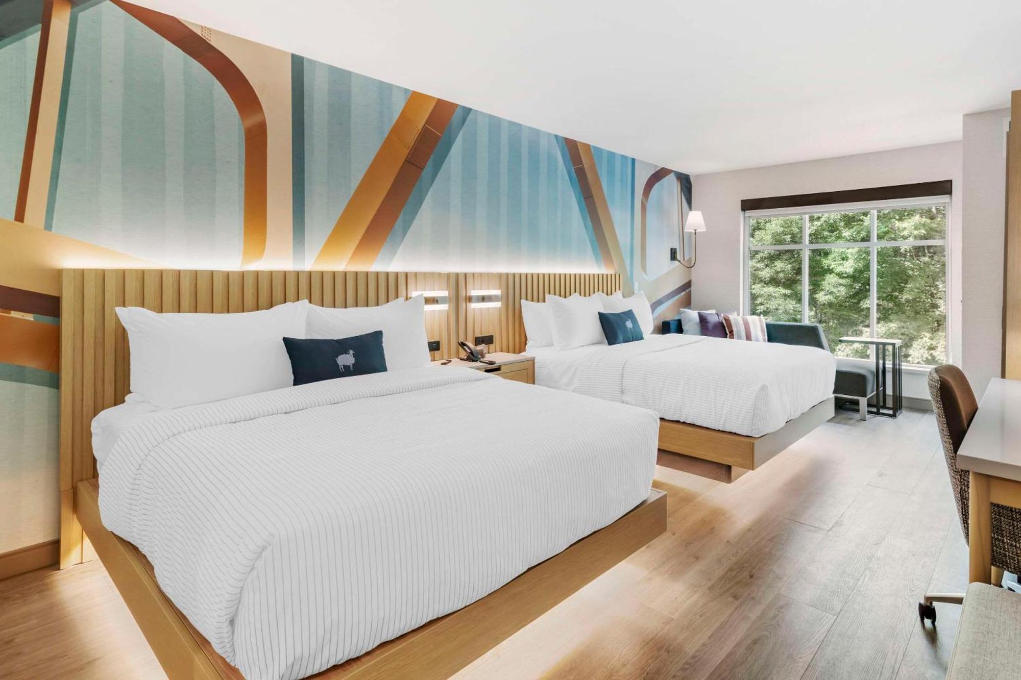 Cambria Hotel นอร์ทคอนเวย์ ภายนอก รูปภาพ